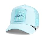 Goorin Bros. Chroma Wave Collection Trucker Hat for