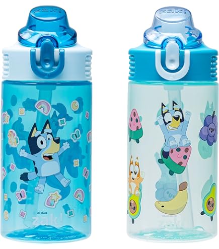 Zak Designs Paw Patrol Skye Kids Water Bottle - 15.5oz Stainless Steel, Flip-up Straw Locking Lid, BPA Free