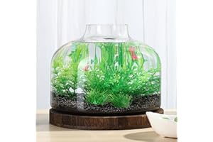 PONDON 2 Gallon Fish Bowl Vase, Glass Plant Terrarium Kit, Complete with Wooden Base and Water Changer