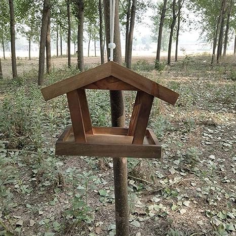 La Décoration De La Cour De La Mangeoire à Petits Oiseaux En