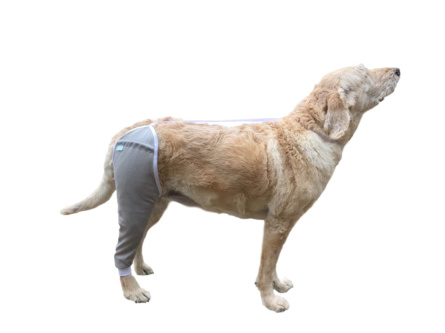 After Surgery Wear Hip and Thigh Wound Protective Sleeve