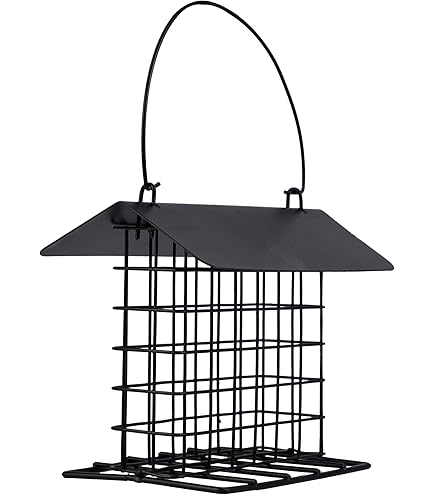 Heath Snowflake Suet Cage - Steel Bird Feeder, Holds 1 Standard Suet Cake, Ready To Hang