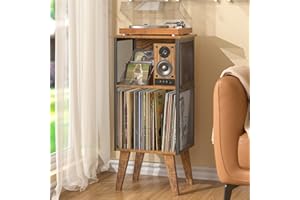 DAOUTIME Record Player Stand with Vinyl Storage up to 100 Albums, Record Holder Stand with Adjustable Divider, CD/Book/LP Record Storage Holder, Retro Vinyl Record Player Stand for Bedroom Living Room