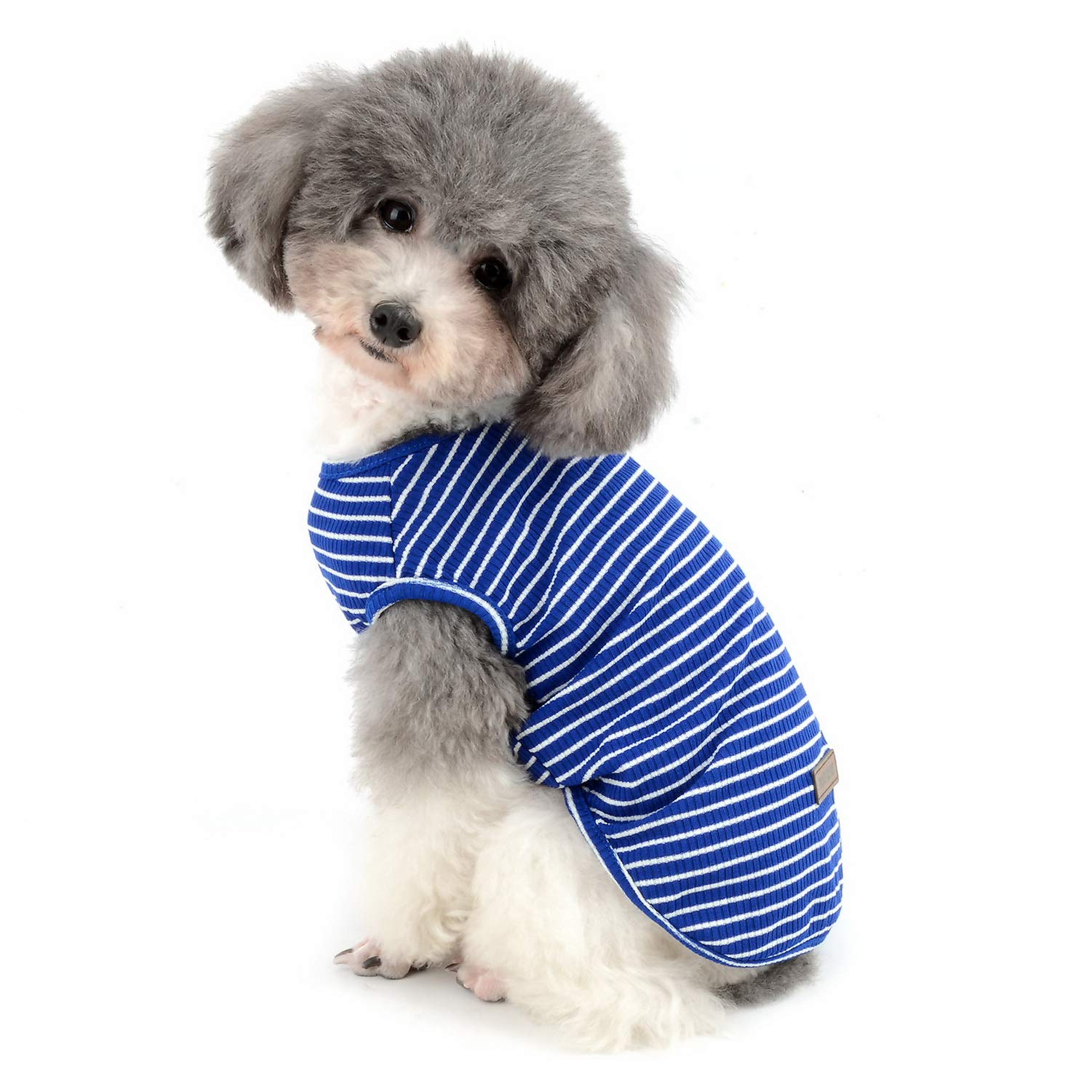 Zunea Dog Shirt for Small Dogs Cats Pet Striped T Shirt Summer Cool Vest Puppy Basic Tank Top Soft Breathable Chihuahua Clothes for Doggy Girl Boy Blue L