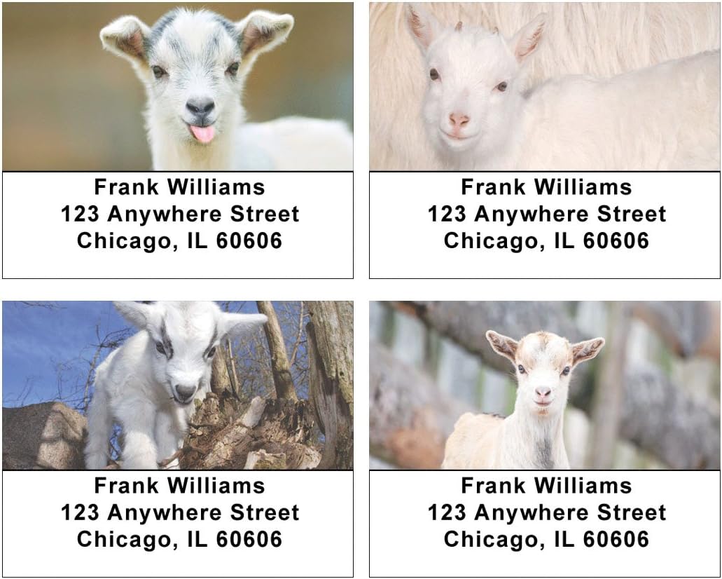 Kid Goats Address Labels Office Products
