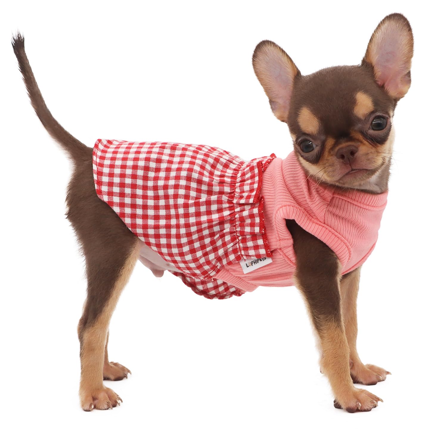 Photo 1 of LOPHIPETS Dog Plaid Dress for Small Dogs Girl Teacup Chihuahua Yorkie Puppy Cat Clothes-Red and White Plaid/XXS
