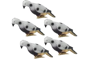 SOONALL 5 Pcs 3D Archery Bird Target, Shooter Field Logic Archery Decoy, Lifelike Foam Animal Bait Target, Decoration Shooting Targets for Compound, Traditional Bows, Youth Archery