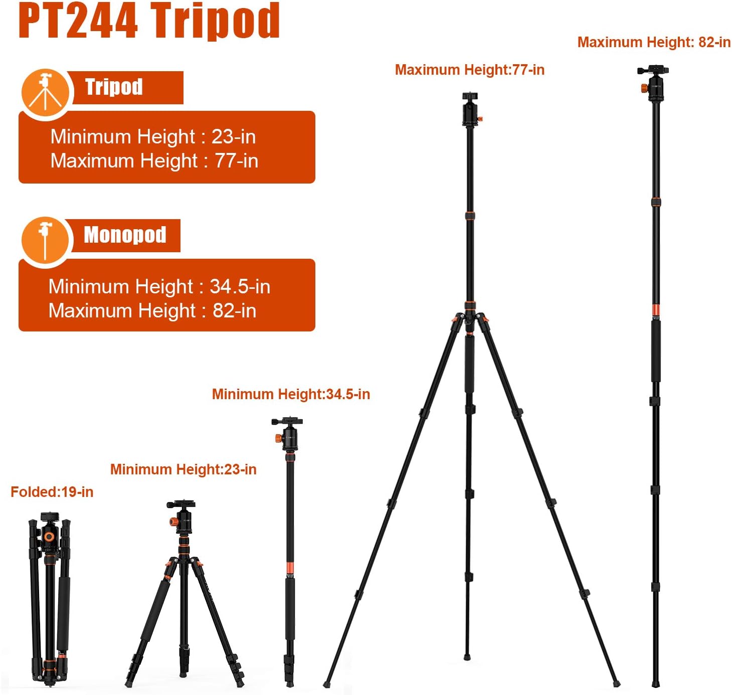 PHOPIK 77 Inches Tripod, Lightweight Aluminum Camera Tripod for DSLR, Photography Tripod with 360 Degree Ball Head 1/4" Quick Release Plate Professional Tripod Load up to 17.6 Pounds : Camera & Photo