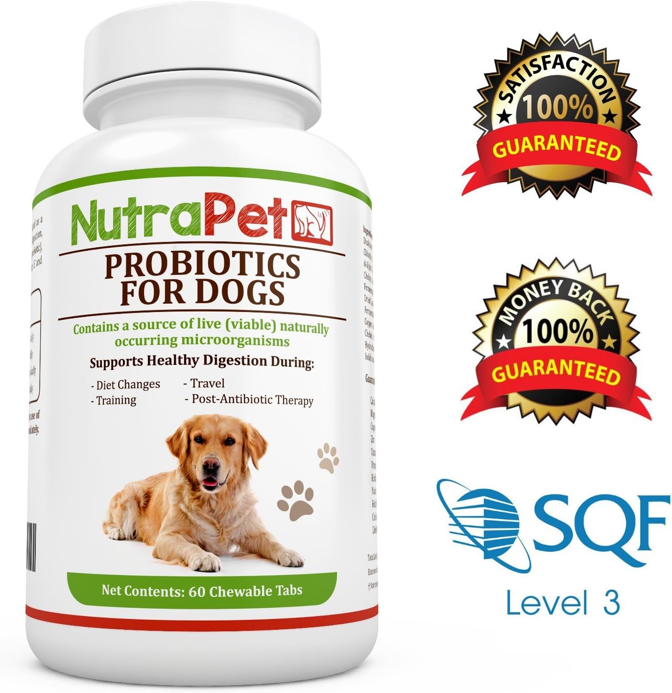 pethonesty probiotics for dogs