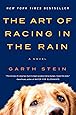 The Art of Racing in the Rain: A Novel