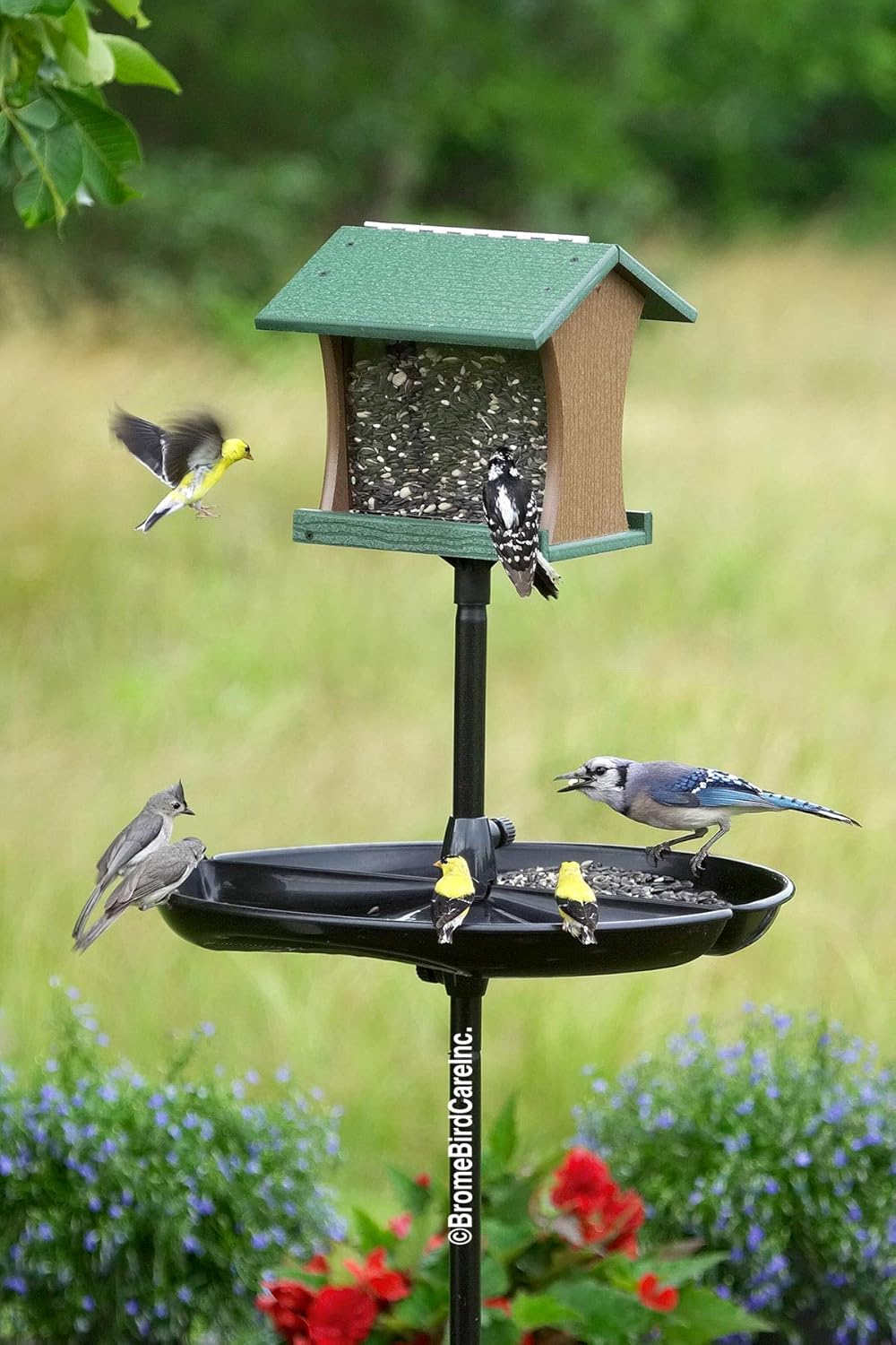 Amazon Com Brome Buster Tray Feeder And Seed Catcher Black