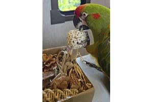 2 in 1 Parrot Toys, Tyotrbs Parakeet Foraging Box DIY Hanging String with Comes with 2 Hooks Bird Toy for Parakeets,Cockatiels,Conures,Love Birds Cage Accessories for Small to Medium Birds