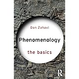 Phenomenology: The Basics