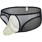 ZONBAILON Men's Sexy Mesh Underwear Briefs See Through Breathable Briefs with Bulge Pouch