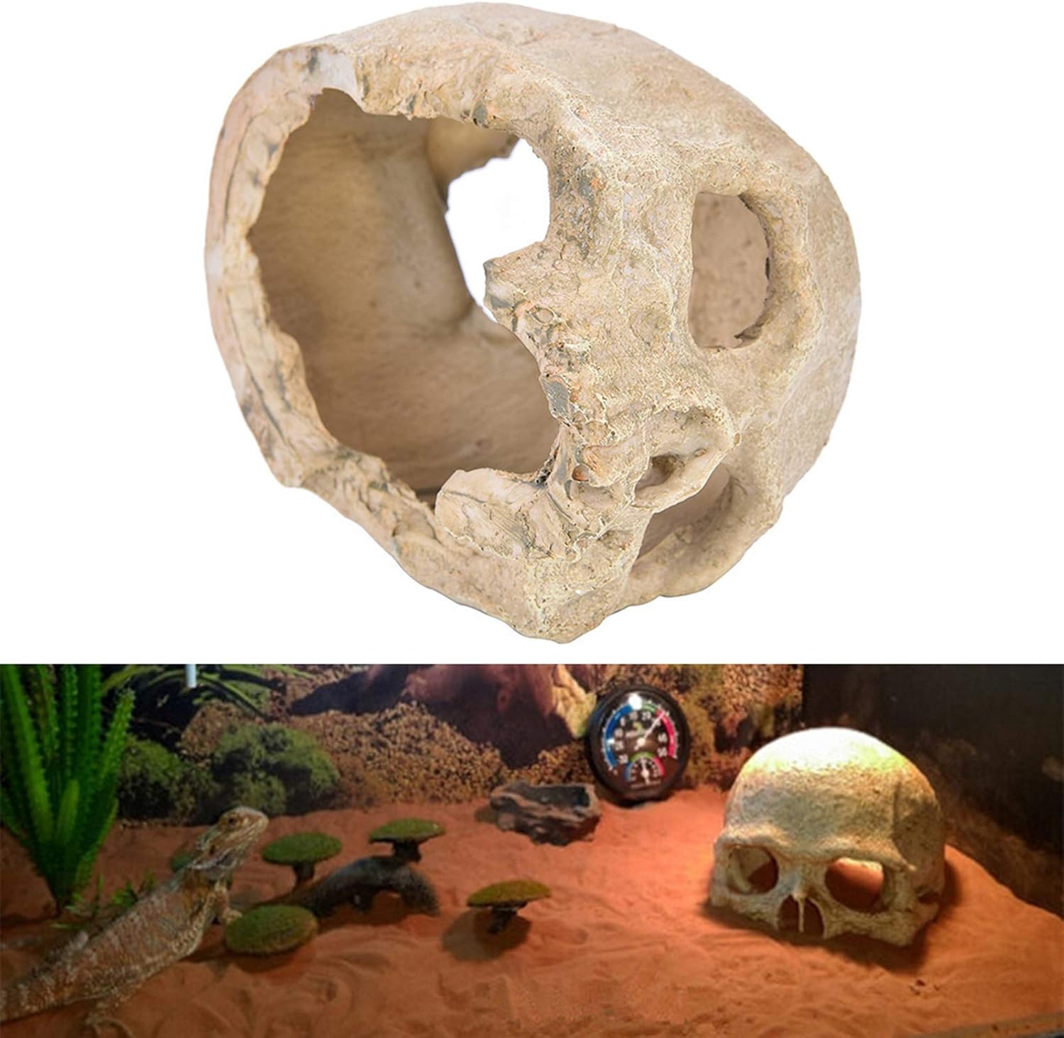 Amazon 水槽の装飾 オーナメント 頭蓋骨 シェルター オブジェ 置物 水槽台 隠れ家 水族館 造園装飾 水槽内アクセサリー アクアリウム 用品 スケルトン 観賞魚 熱帯魚 金魚 爬虫類 スパイダー ヤモリ トカゲ 1 Jieer オーナメント 通販