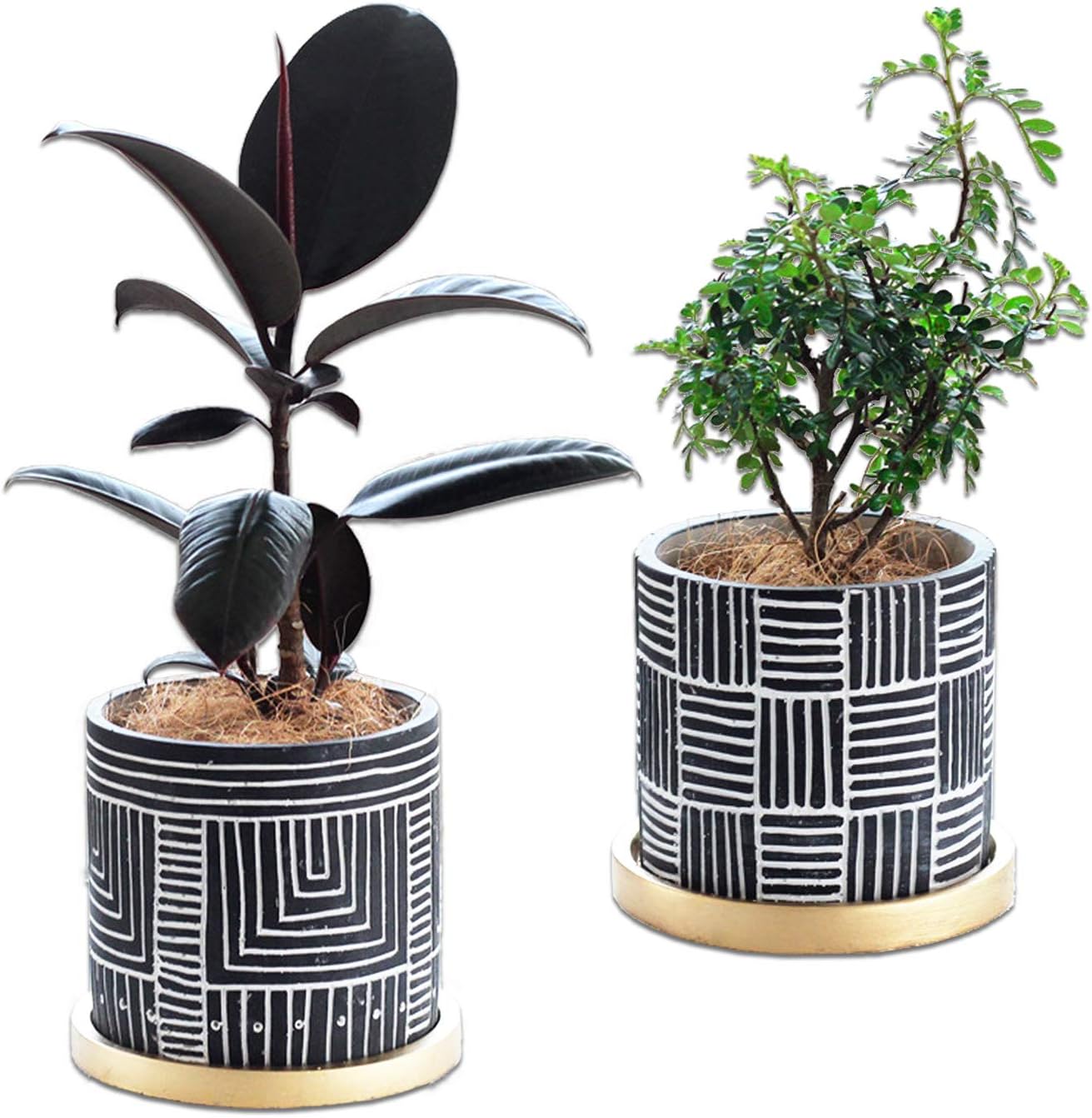 Terracotta Plant pots, Set of 2, Small Flower Pots Indoor, 10 inch Plant Pot with Drainage Hole and Tray, Round Cylinder Pots for Plants Home and Office Decor Birthday Wedding – Plants Nor Included