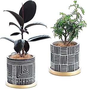 Terracotta Plant pots, Set of 2, Small Flower Pots Indoor, 10 inch Plant Pot with Drainage Hole and Tray, Round Cylinder Pots for Plants Home and Office Decor Birthday Wedding – Plants Nor Included