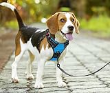 PoyPet No Pull Dog Harness with Neck Release Buckle Reflective Blue Large view 2