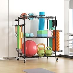 SINGAYE Dumbbell Rack, Balls Workout Equipment