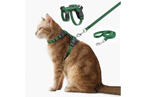 Plutus Pet Adjustable Cat Harness and Lead Set, Quick Release, Escape Proof Nylon Vest with Leather Trim for Kitten, Small Me