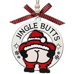 Funny Christmas Ornaments 2025, Funny Ornaments for