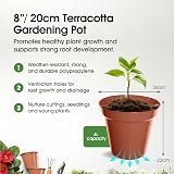 Whitefurze G04022 20cm Garden Pot Terracotta Polypropylene 4 L view 2