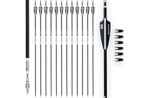 BOWSOUL 31Inch Carbon Arrows for Target Practice Hunting Arrow with Removable Tips for Compound & Recurve Bow(Pack of 12)