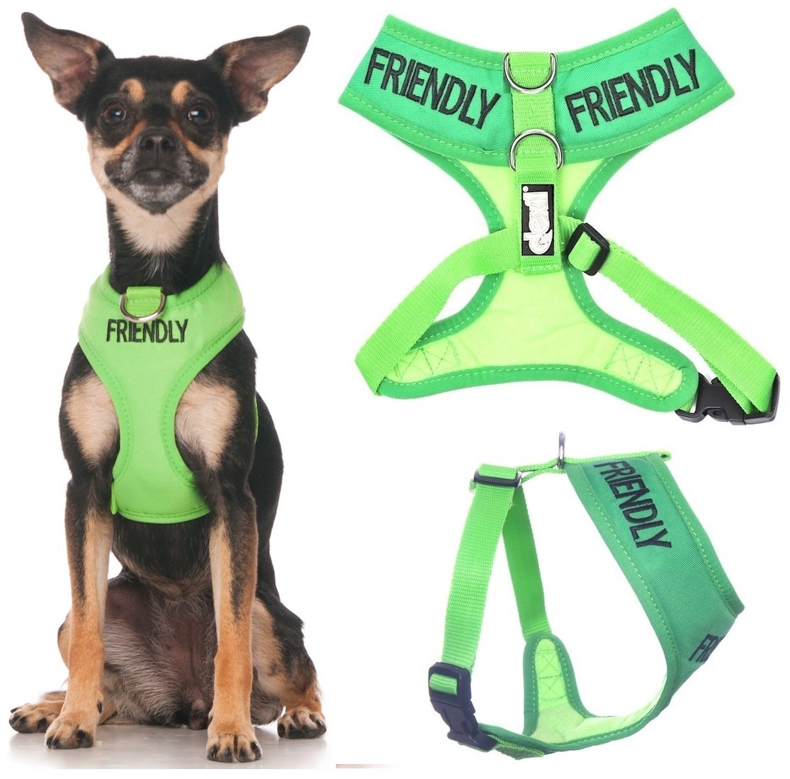 Dexil FRIENDLY (Known as Friendly to all) Green Colour Coded Non-Pull Front and Back D Ring Padded and Waterproof Vest Dog Harness PREVENTS Accidents By Warning Others Of Your Dog In Advance (XS)