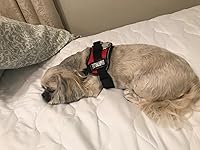 Review Image by Rosie W.