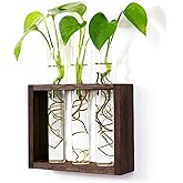 PACDONA Wooden Propagation Station with 3 Glass Test Tubes, Tabletop Glass Terrarium Holder for Cuttings Hydroponics, Home Office Desk Decor Gift for Women Mom Plant Lovers, Brown