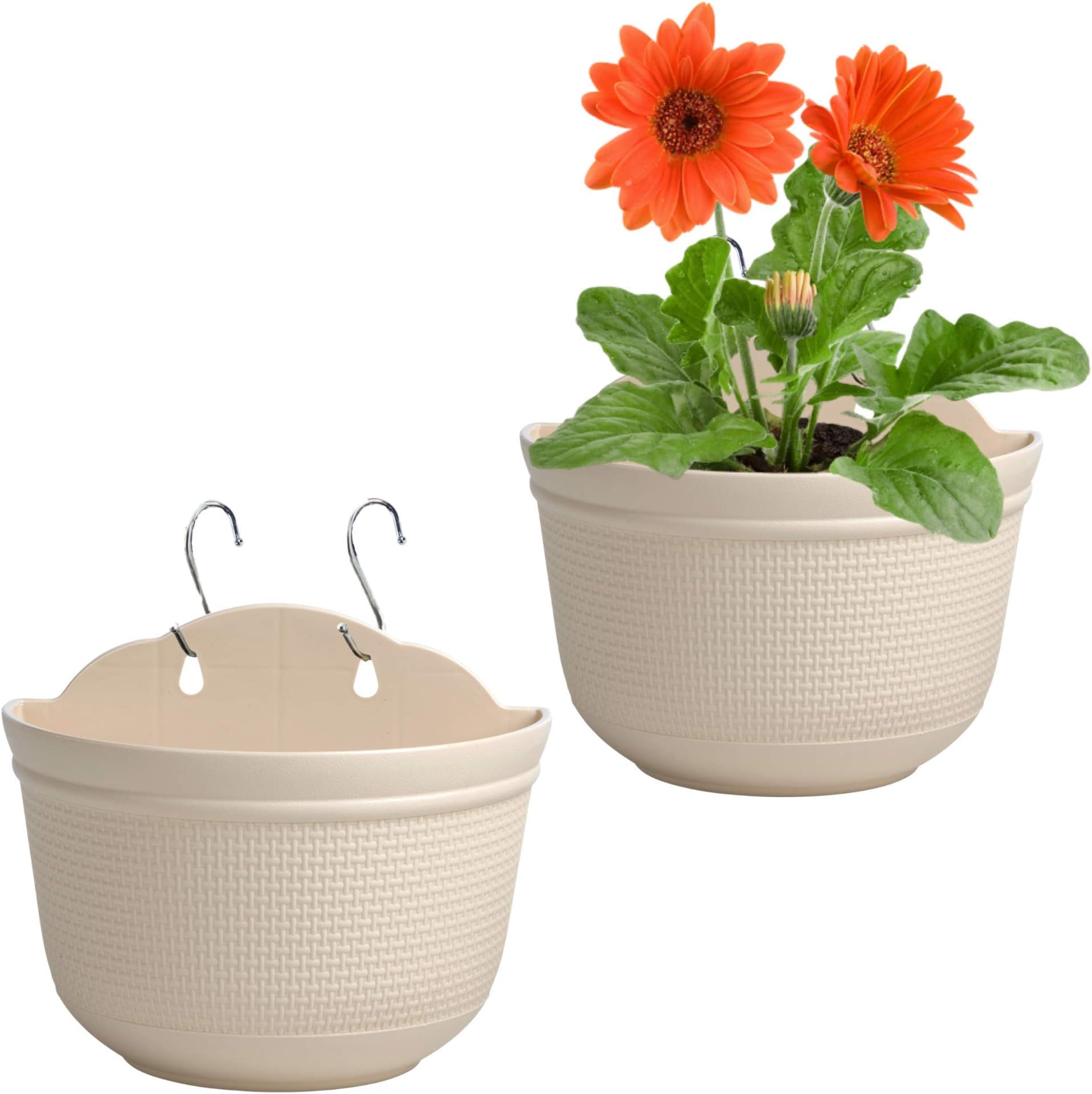 Wall Planters