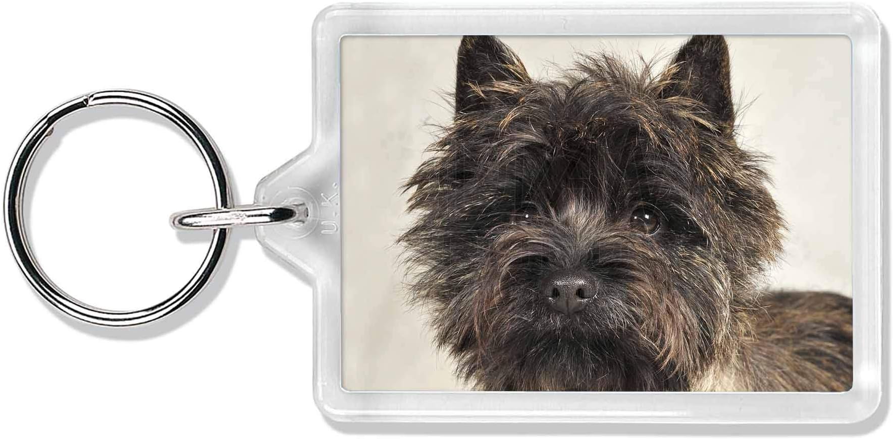 Advanta Group Brindle Cairn Terrier Dog Photo Keyring Animal Gift