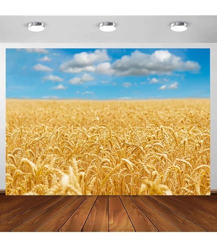 Baocicco Fotohintergrund – 3x2 M, Motiv Frische Ballen & Ernte, Vinyl, Nahtlos, Für Foto-Shootings