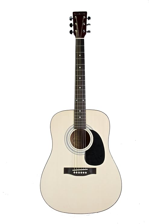 Гитара suzuki sdg
