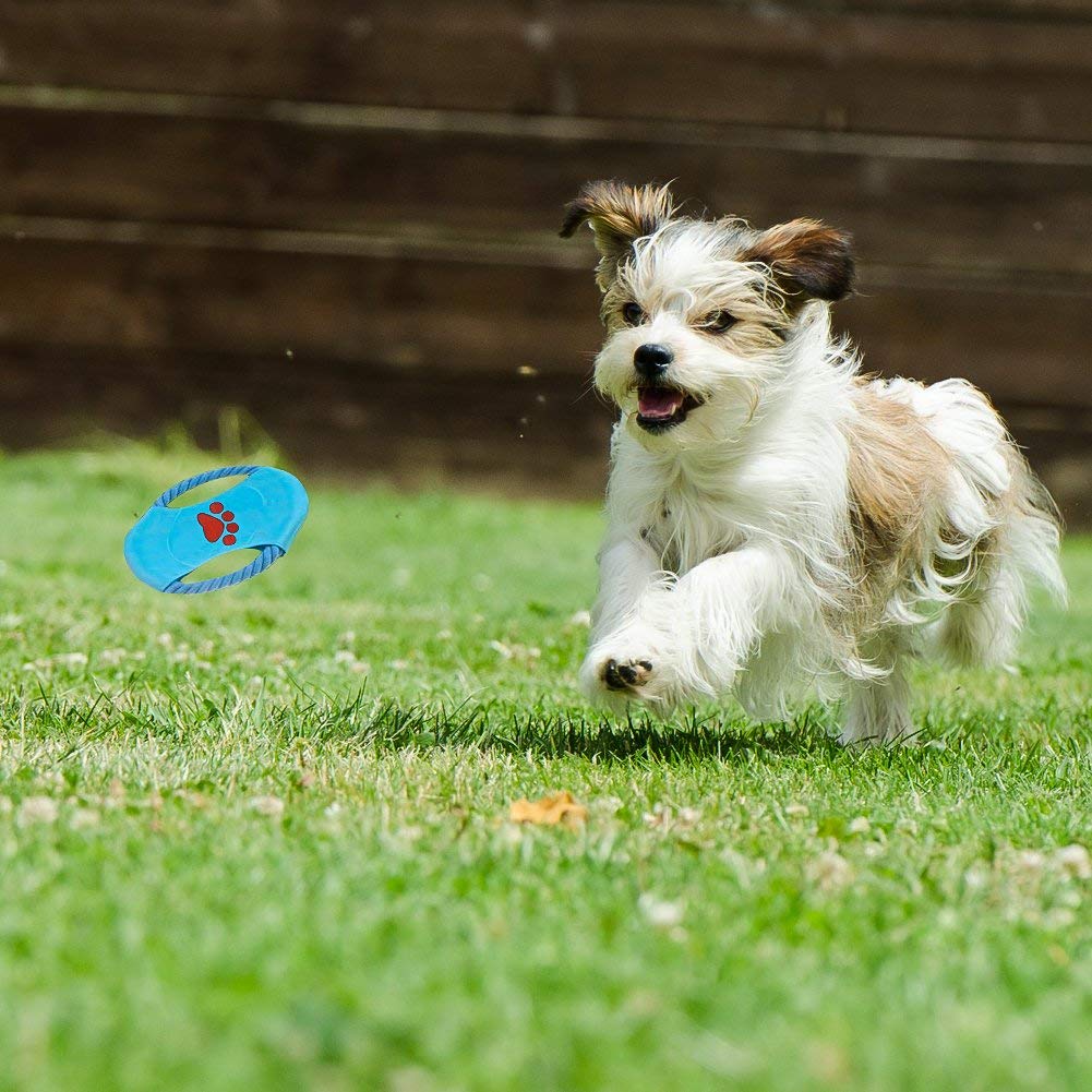 Ciaoed Hundespielzeug für Aggressive Hundekauen-Spielwarengeschenke Interessanter Hund wechselwirkendes Spielwaren für Kleine mittlere große