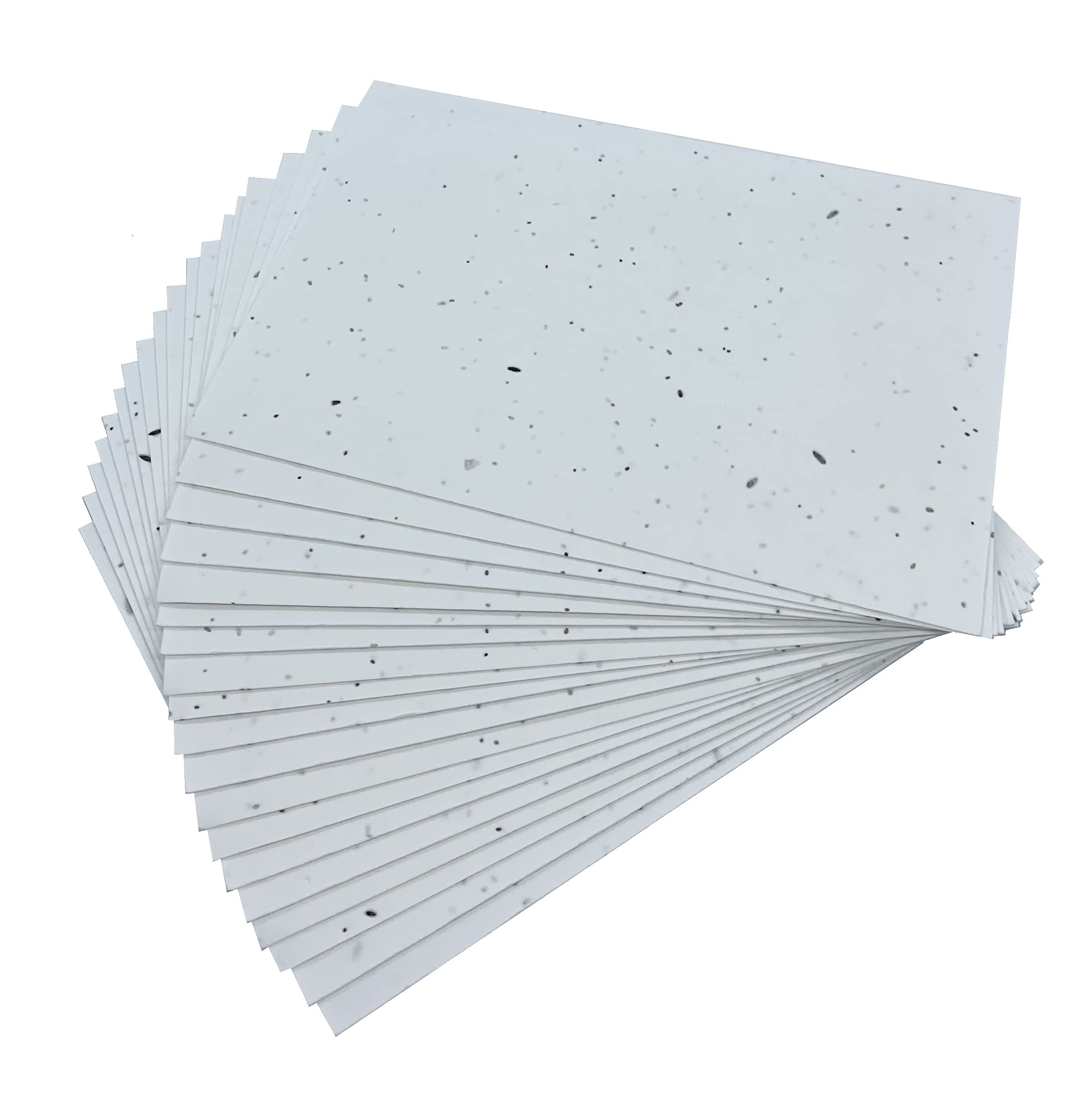 Seeded Craft Paper 20 Sheets A5 Size Mixed Wildflower 200GSM Cardmaking Plantable ECO [NATURALNATION] A5-MIX-20