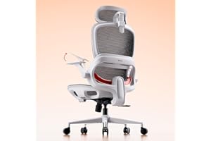 SIHOO B100 Office Chair, Comfy Ergonomic Office Chair, High Back Computer Chair with Adaptive Dynamic Lumbar Support, Flip-up