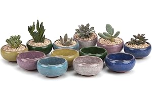 T4U 2.5 Inch Small Ceramic Succulent Planter Pot with Drainage Hole Set of 12, Ice Crack Glaze Plant Container for Cactus, Plant Lover Gifts for Women Mom Aunt Home Office Decor