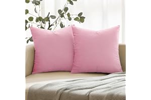 ANRODUO Pack of 2 Velvet Baby Pink Throw Pillows Spring Decorative Pillow Covers Euro Cushion Case Soft Decorative Solid Square Cozy Modern Home Decor Pillowcase for Sofa Couch Bed 18x18 Inch