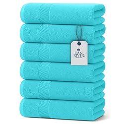 DAN RIVER 6-Pack Premium Hand Towels