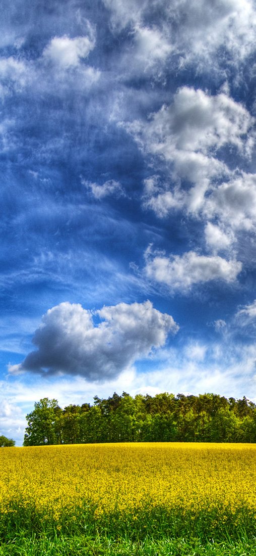 PeelitStickit, Beautiful Nature Wall Murals, ID-1845, vinyl