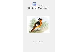 AVITOPIA - Birds of Morocco