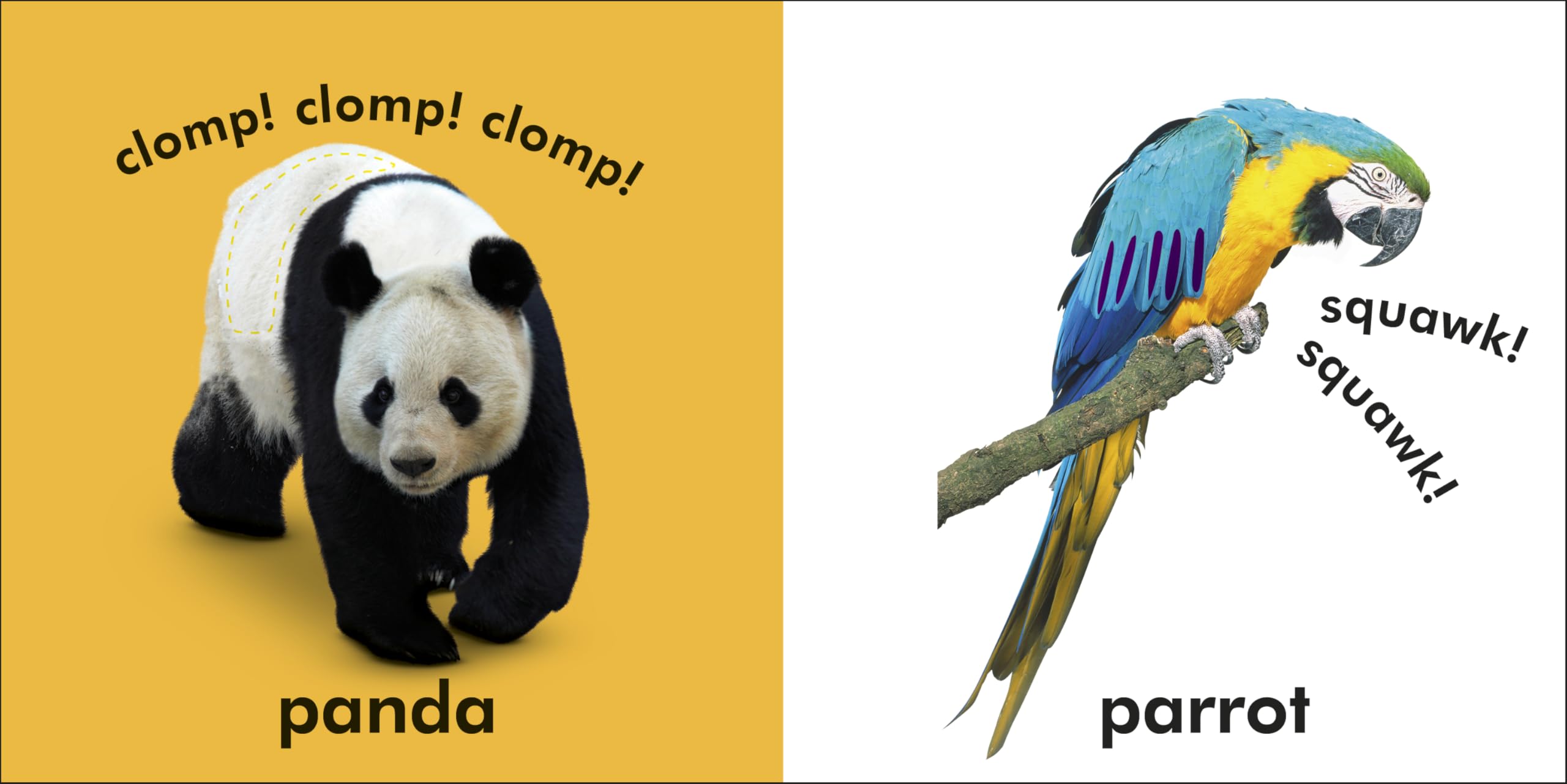 Baby Touch and Feel: Wild Animals