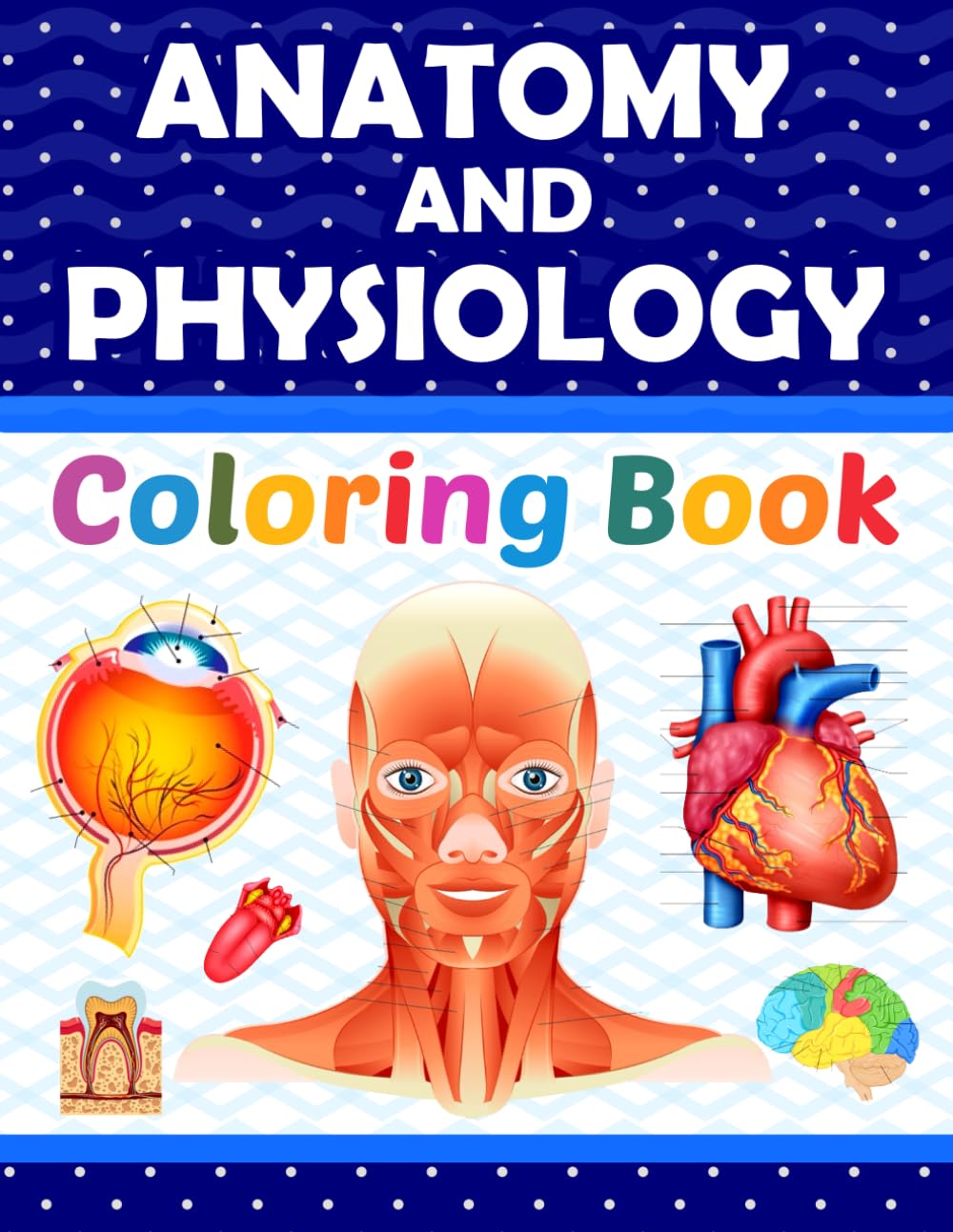 Anatomy and Physiology Coloring Book: Learn The Human Body Anatomy and Physiology in a Fun and Easy Way. It Helpful for Human Anatomy Students and Teachers. Anatomy and Physiology Coloring Book: Learn The Human Body Anatomy and Physiology in a Fun and Easy Way. It Helpful for Human Anatomy Students and Teachers. Paperback