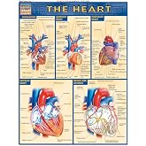 Heart: QuickStudy Laminated Reference Guide (Quick Study Academic)