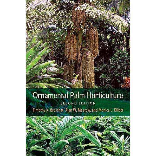 Your Ultimate Palm Tree Handbook: Create a Paradise with Palms