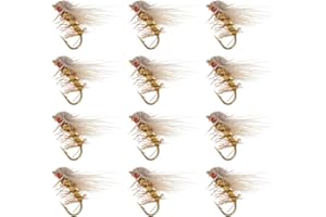Micro Traders 12Pcs Barbless Dry Flies Fly Fishing Lures Silkworm Moth Fly Bait Hand Tied Fishing Flies for Fishing Trout Bas