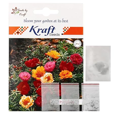 Kraft Seeds Portulaca F1 Hybird Double Mix 3 in 1 Flower Seed Combo (Pack of 3)
