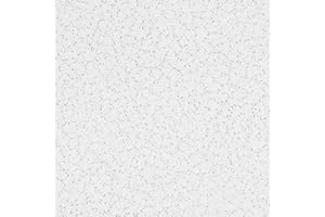 Armstrong Ceiling Tiles; 2x4 Ceiling Tiles - 10 pc White Ceiling Tiles; Acoustic Ceilings for Suspended Ceiling Grid; Random Textured 933