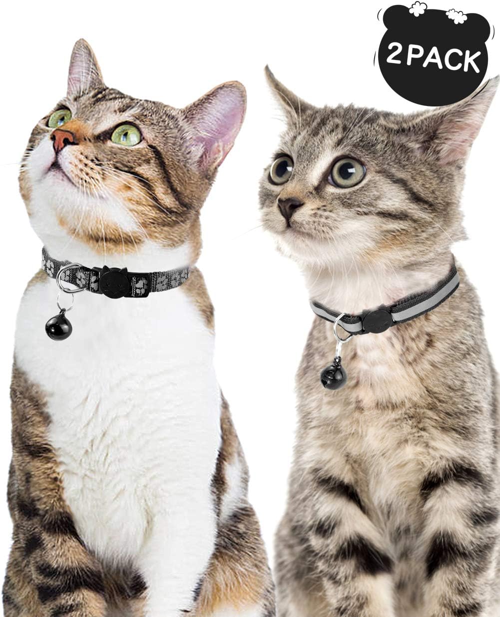 Fancy Cat Collars for Outdoor Cats